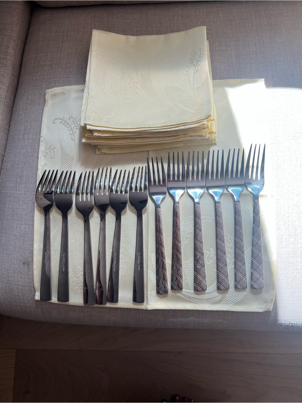 Arshia Germany Stainless Steel Dinner Fork Set in Silver - 12 Pieces and 9 cloth